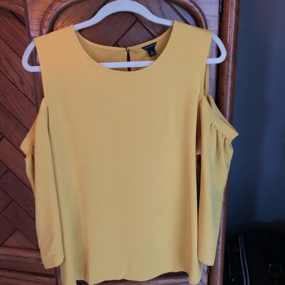 Beautiful Ann Taylor top